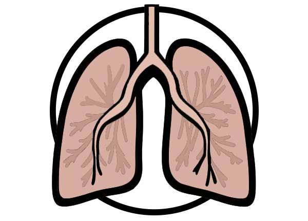 Santé respiratoire